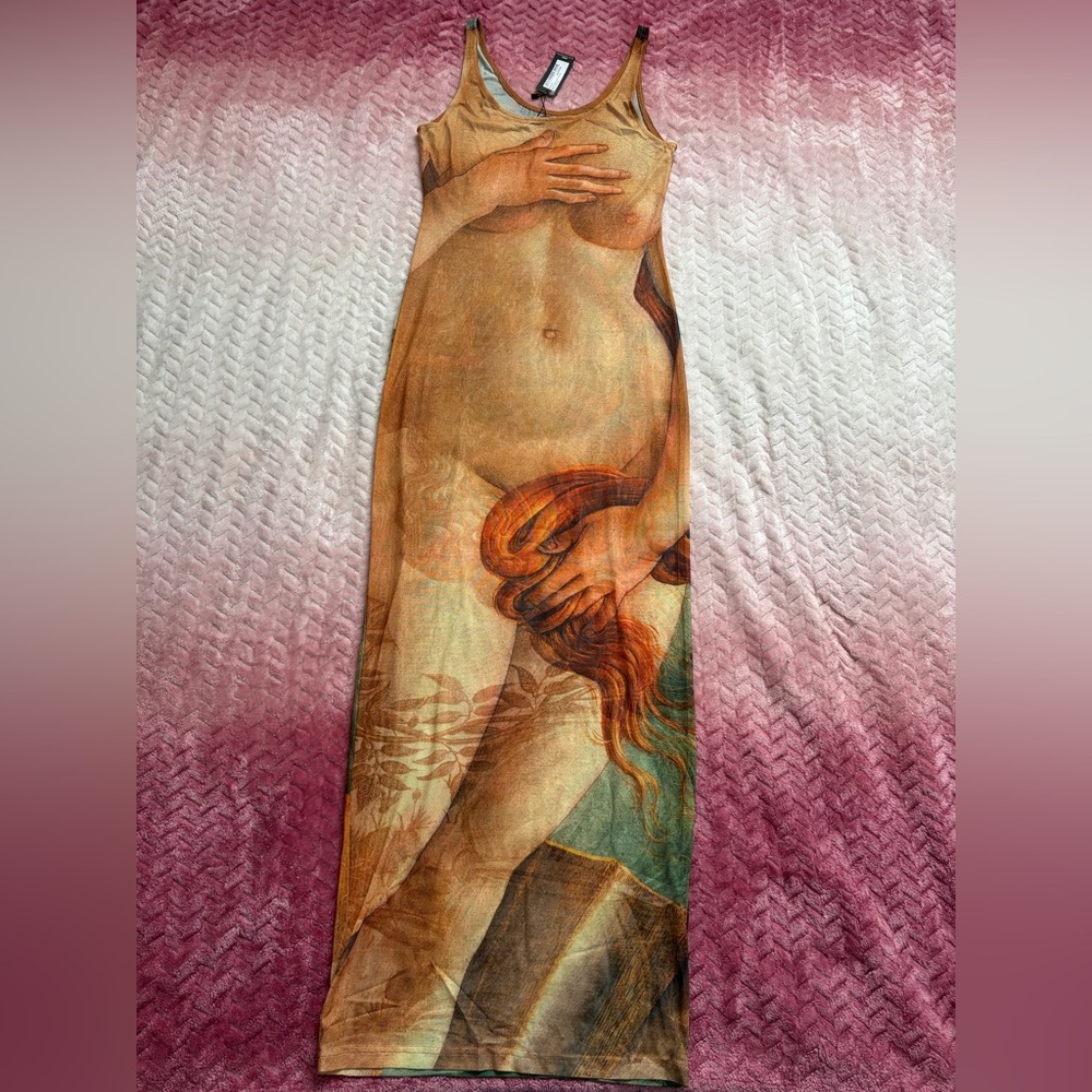 PrettyLittleThing Shape Stone Body Print Mesh Maxi Dress